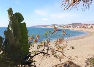 Foto6