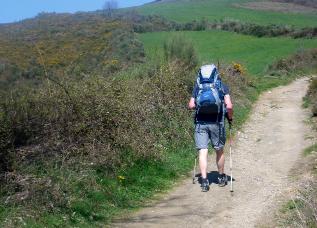 Wandern